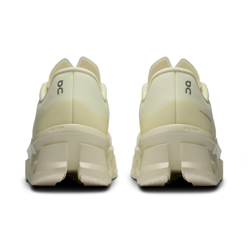 Men's Cloudmonster 2 PAF