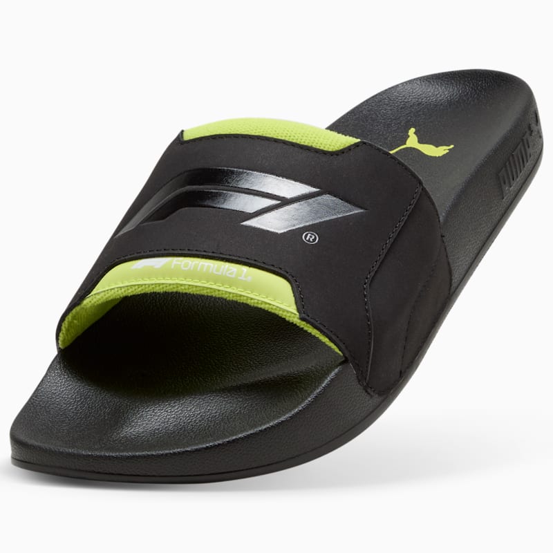 F1® Leadcat 2.0 Graphic Slides