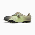 RPT-2 Biology Men's Sneakers