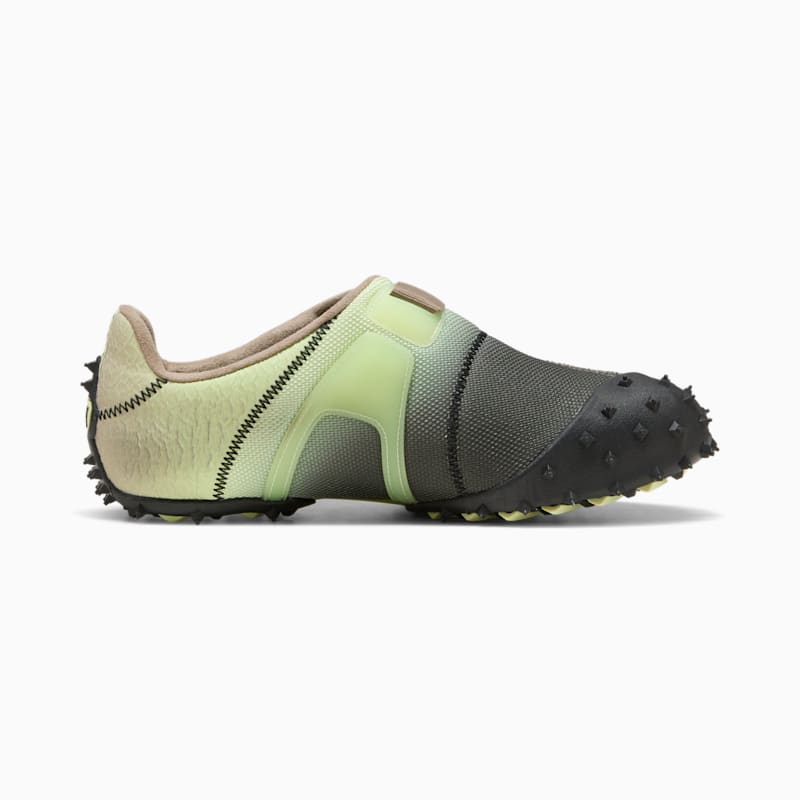 RPT-2 Biology Men's Sneakers