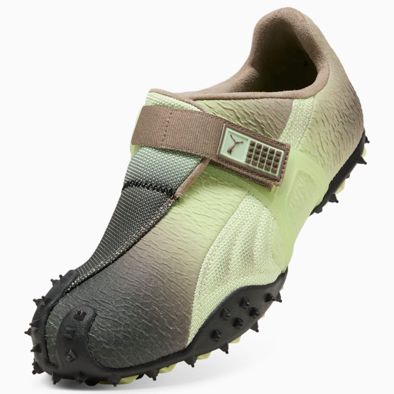 RPT-2 Biology Men's Sneakers