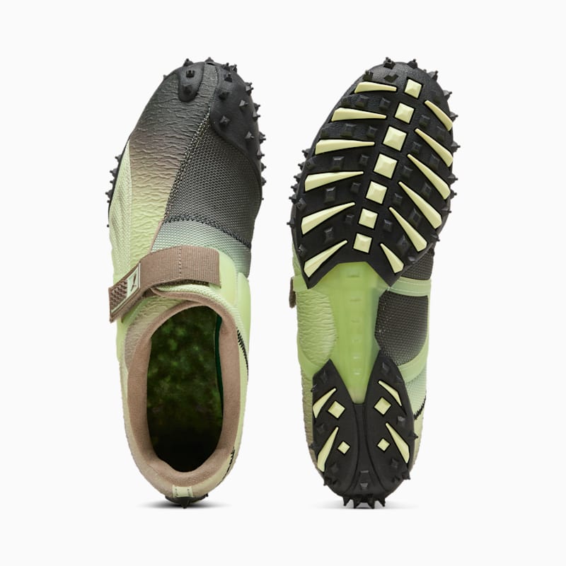 RPT-2 Biology Men's Sneakers