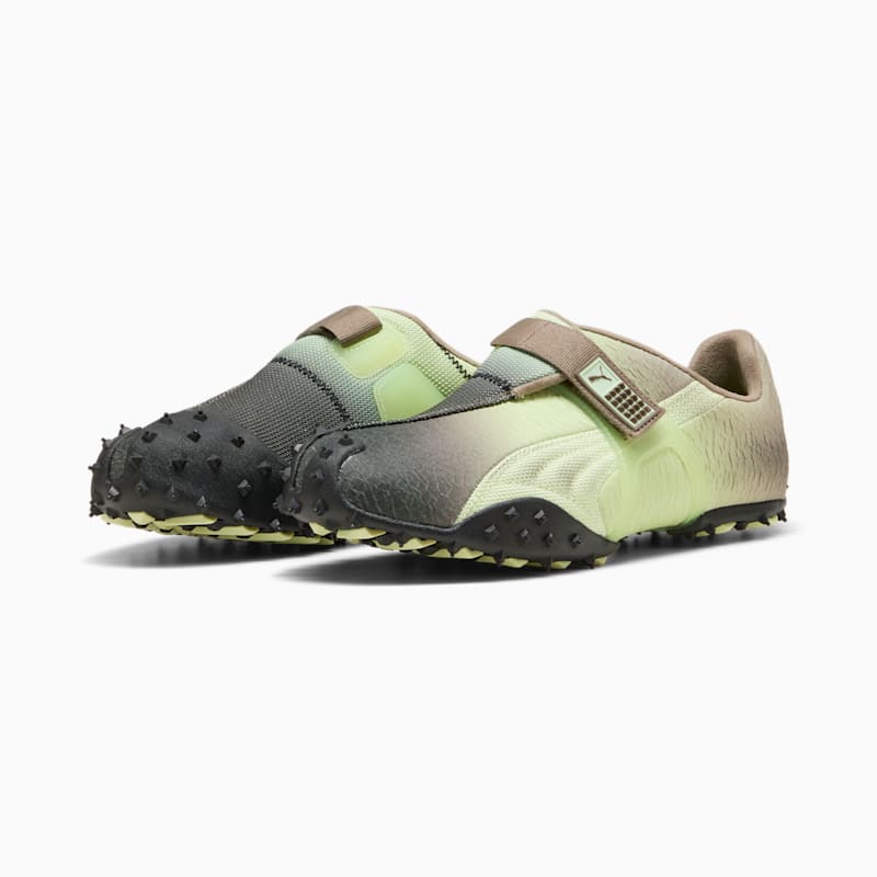 RPT-2 Biology Men's Sneakers