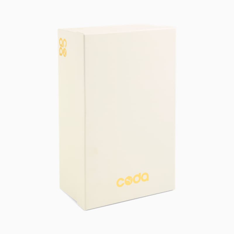 Suede CODA "Echo Points" Sneakers