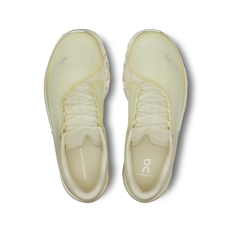 Men's Cloudmonster 2 PAF