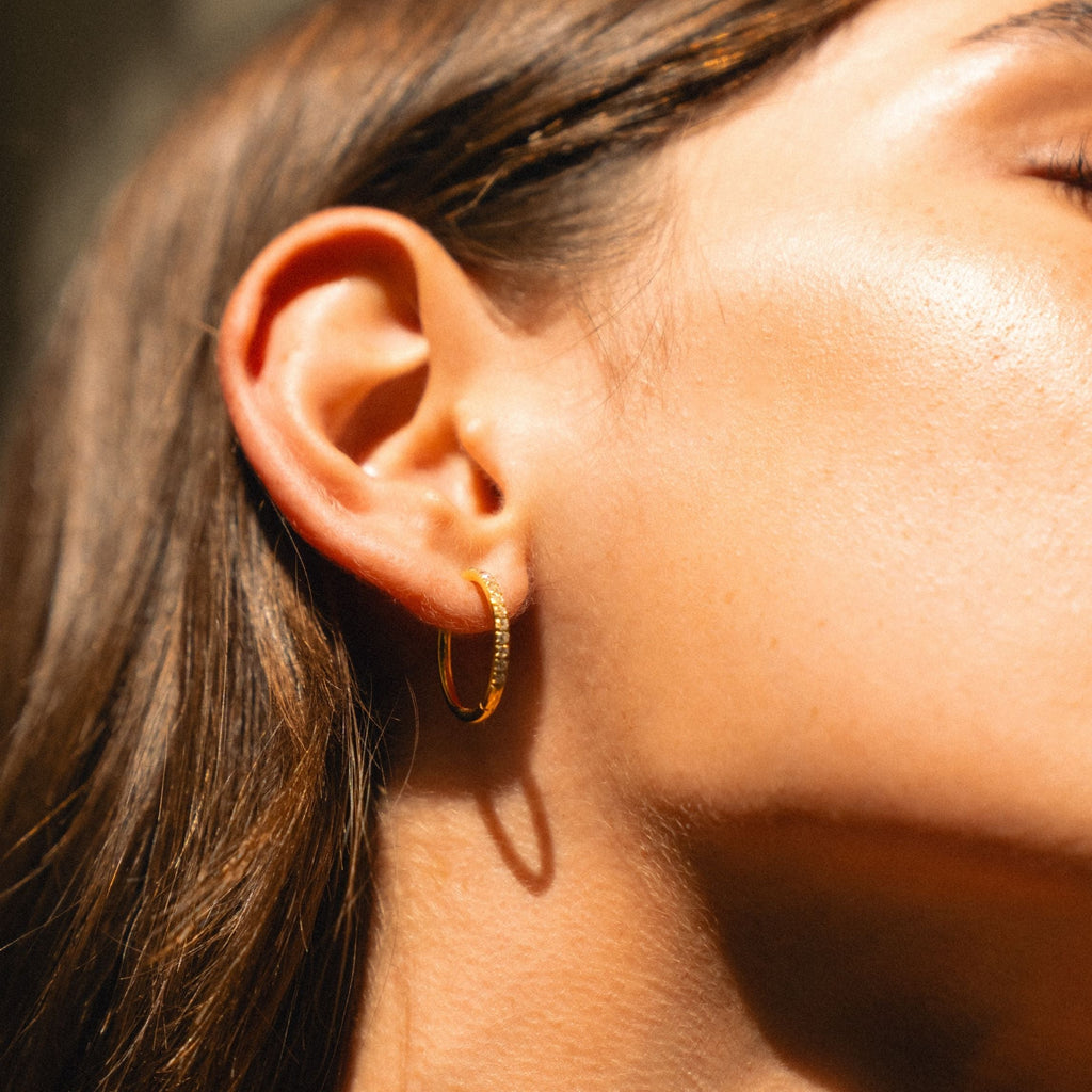 Large Pav¨¦ Hoops